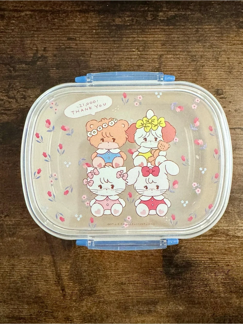 MIKKO Food Container, tupperware